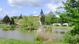 Kirche Zehbitz Altarraum